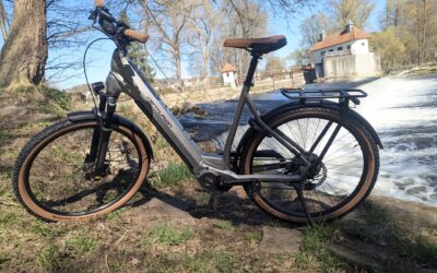 E-Bike / Centurion R960i L grau